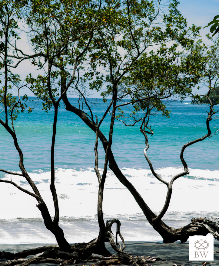 Beth Webb Costa Rica A