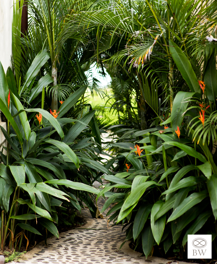 Beth Webb Costa Rica M